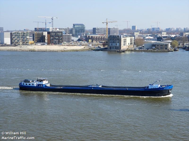 maria cornelia (Cargo ship) - IMO , MMSI 244730883, Call Sign PF3599 under the flag of Netherlands