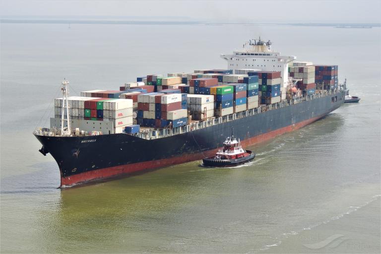 brussels (Container Ship) - IMO 9200691, MMSI 255806004, Call Sign CQIM8 under the flag of Madeira