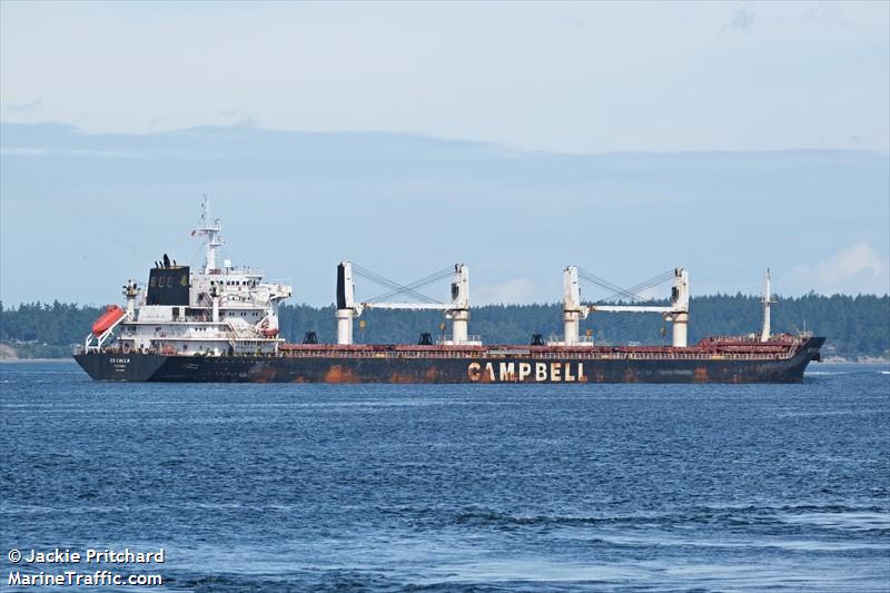 cs calla (Bulk Carrier) - IMO 9542520, MMSI 311035300, Call Sign C6ZB2 under the flag of Bahamas