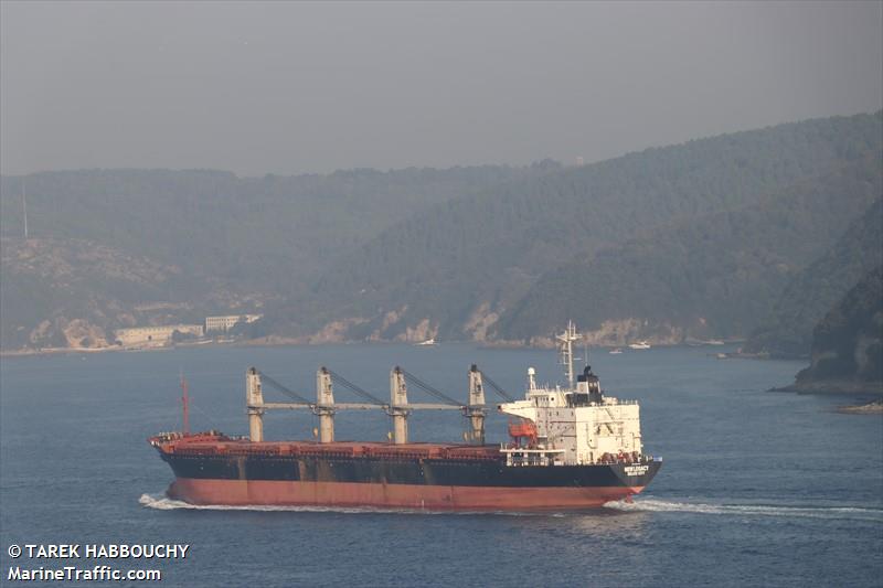 new legacy (Bulk Carrier) - IMO 9124782, MMSI 312700000, Call Sign V3FT2 under the flag of Belize