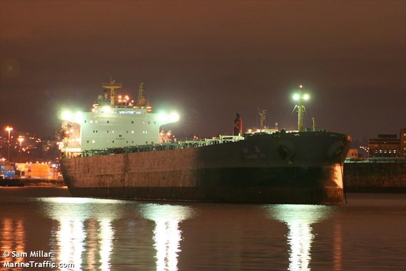 msc nela (Container Ship) - IMO 9839296, MMSI 356234000, Call Sign HP7585 under the flag of Panama