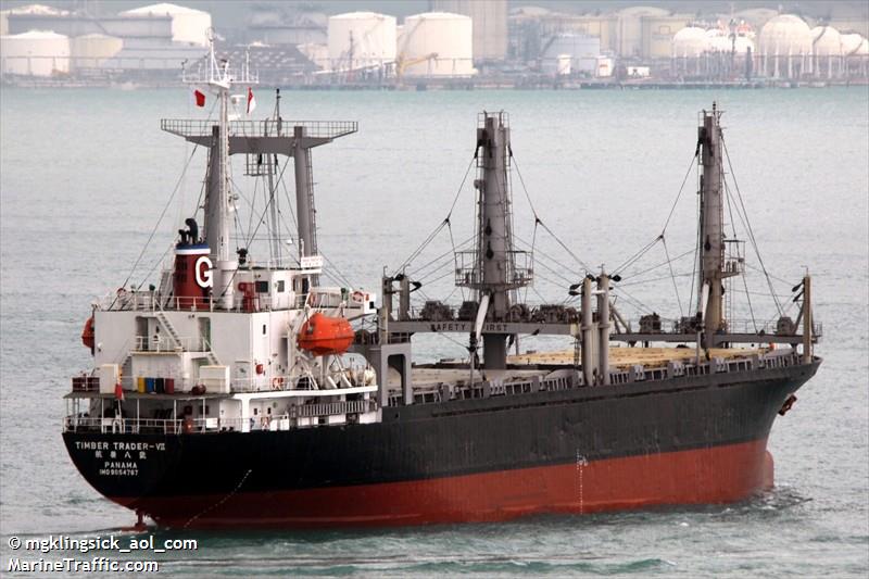 medkon rize (General Cargo Ship) - IMO 9114347, MMSI 356683000, Call Sign 3EGV2 under the flag of Panama
