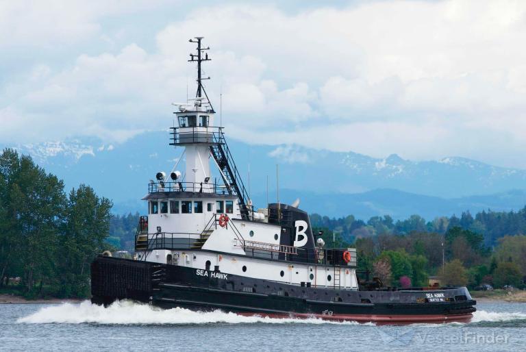 sea hawk (Tug) - IMO 7729526, MMSI 368084240, Call Sign WDK7414 under the flag of United States (USA)