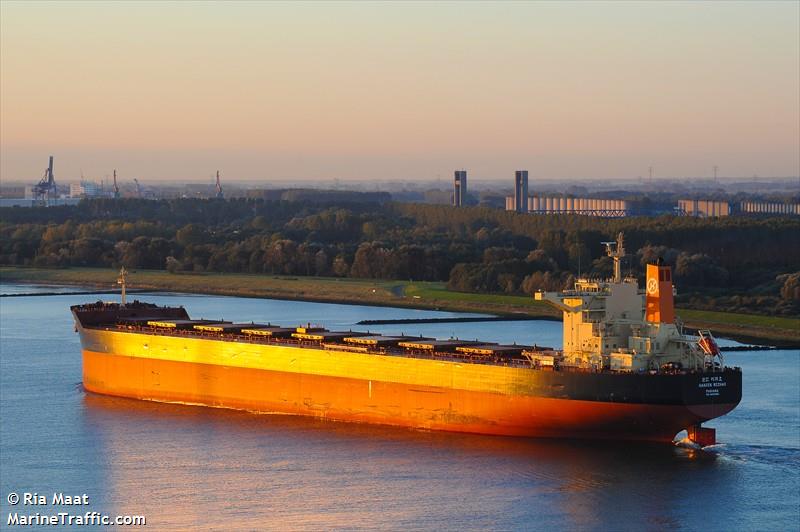 sakizaya queen (Bulk Carrier) - IMO 9783148, MMSI 371128000, Call Sign 3FWF8 under the flag of Panama