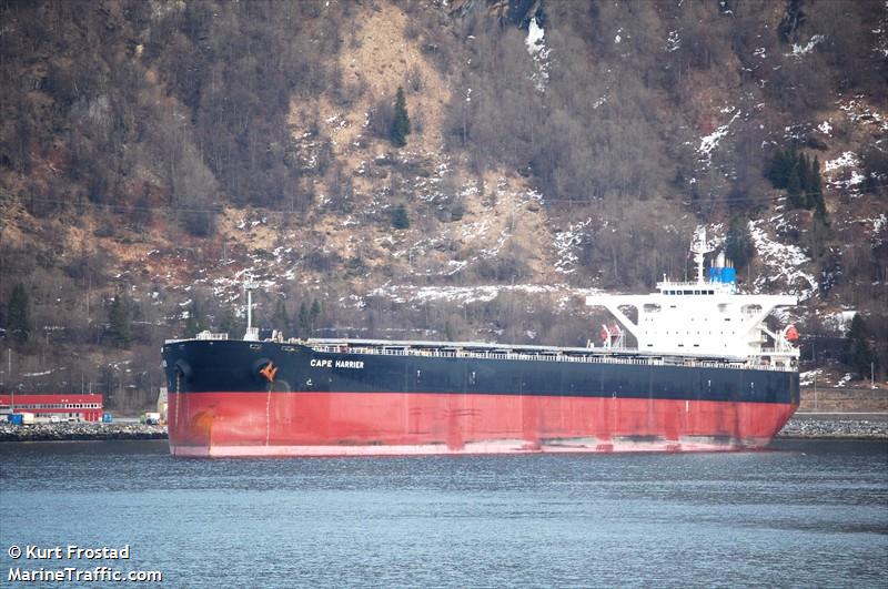 doric shogun (Bulk Carrier) - IMO 9775177, MMSI 371389000, Call Sign 3FLT8 under the flag of Panama