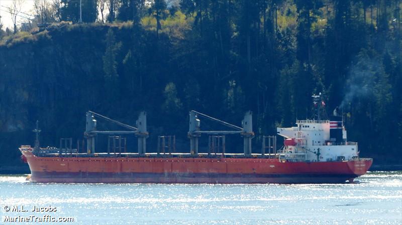 angel 29 (Chemical/Oil Products Tanker) - IMO 9175755, MMSI 373247000, Call Sign 3EIU9 under the flag of Panama