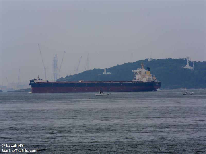 guang heng hai (Bulk Carrier) - IMO 9758650, MMSI 477010200, Call Sign VRQQ9 under the flag of Hong Kong