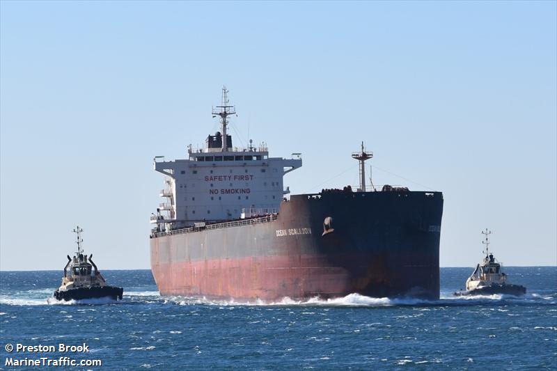 ocean scallion (Bulk Carrier) - IMO 9592094, MMSI 477942200, Call Sign VRMP7 under the flag of Hong Kong