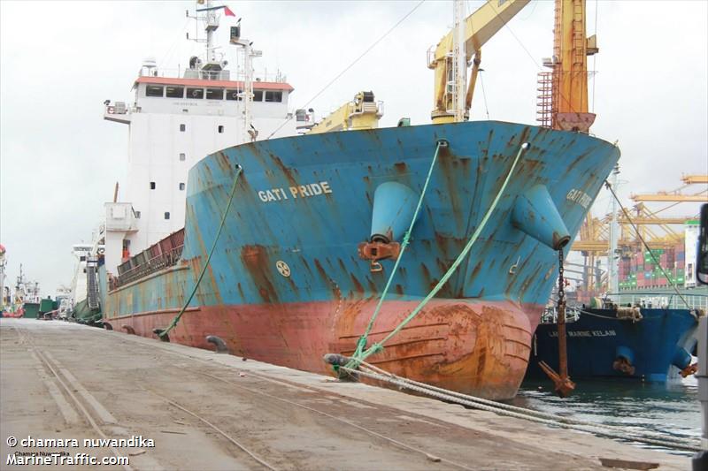 mv.sally fortune (Container Ship) - IMO 9373204, MMSI 525020234, Call Sign PLID under the flag of Indonesia