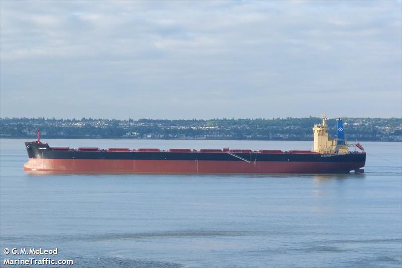 raiatea (Bulk Carrier) - IMO 9580376, MMSI 538004070, Call Sign V7VA3 under the flag of Marshall Islands