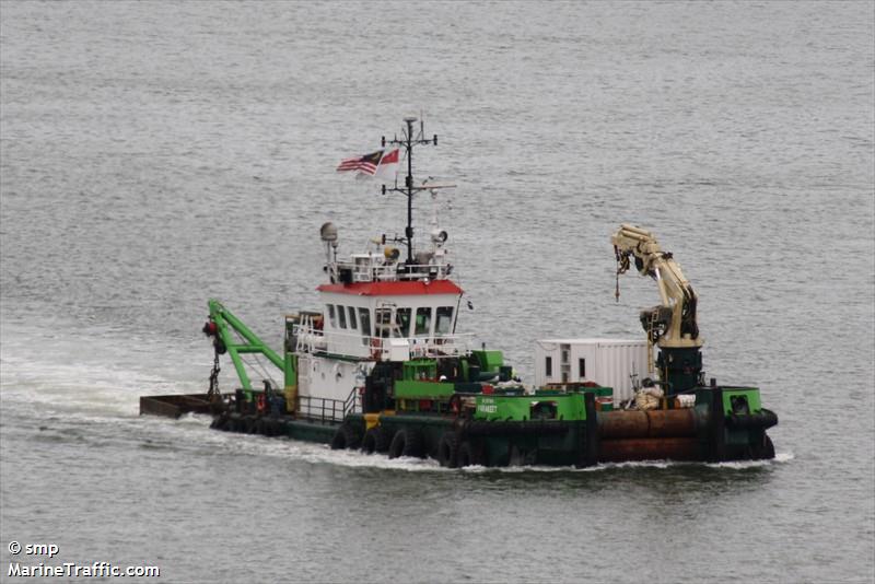 parakeet (Tug) - IMO 9189794, MMSI 563034810, Call Sign 9V3675 under the flag of Singapore