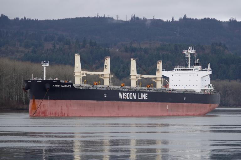 amis nature (Bulk Carrier) - IMO 9787974, MMSI 636018636, Call Sign D5QQ4 under the flag of Liberia