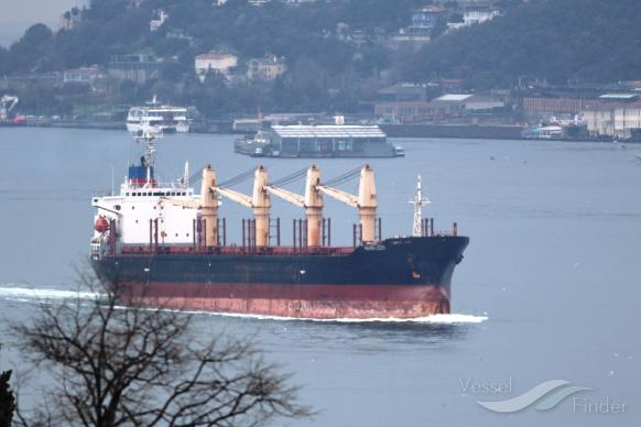 nana leen (Bulk Carrier) - IMO 9113850, MMSI 667001716, Call Sign 9LU2519 under the flag of Sierra Leone