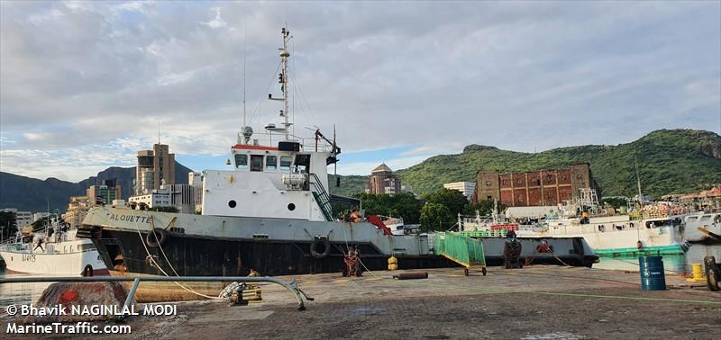 save your tears (Tug) - IMO , MMSI 664546000, Call Sign S7L2551 under the flag of Seychelles
