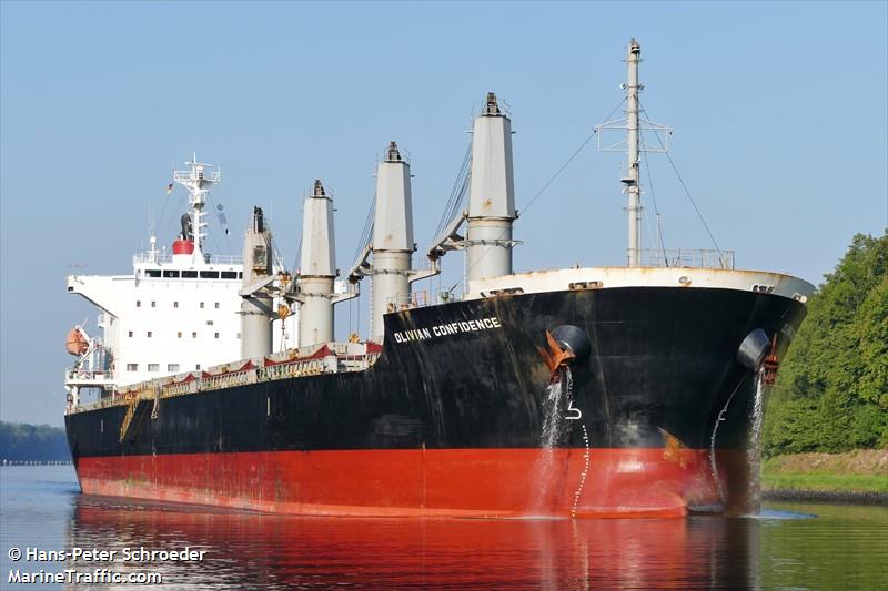 olivian confidence (Bulk Carrier) - IMO 9642162, MMSI 255806455, Call Sign CQEQ4 under the flag of Madeira