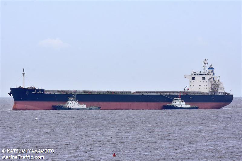taho america (Bulk Carrier) - IMO 9846055, MMSI 636019305, Call Sign D5TW9 under the flag of Liberia