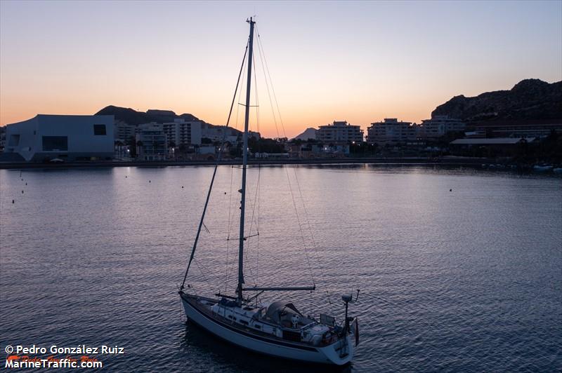 frisco (Sailing vessel) - IMO , MMSI 244042145, Call Sign PH2847 under the flag of Netherlands