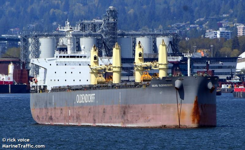 julius oldendorff (Bulk Carrier) - IMO 9839818, MMSI 636092994, Call Sign D5ZE4 under the flag of Liberia