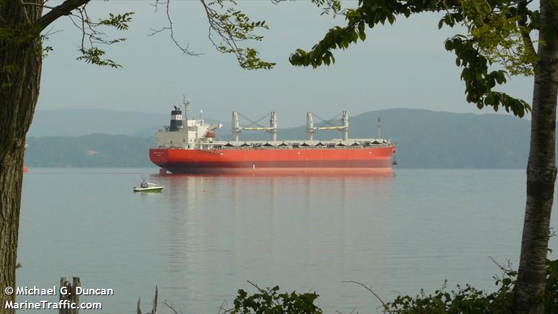 tulip 18 (Bulk Carrier) - IMO 9296743, MMSI 356452000, Call Sign H3WK under the flag of Panama