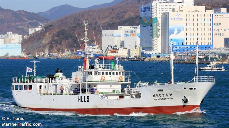 no.803 dongwon (Fishing Vessel) - IMO 8610631, MMSI 440646000, Call Sign HLLS under the flag of Korea