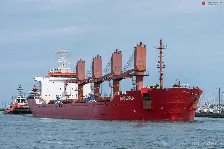 angora (Bulk Carrier) - IMO 9112351, MMSI 229675000, Call Sign 9HA3510 under the flag of Malta