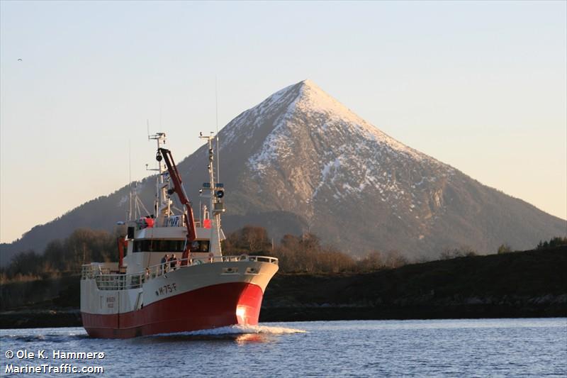 skomvaerfisk (Fishing Vessel) - IMO 8601666, MMSI 257842500, Call Sign JXMK under the flag of Norway