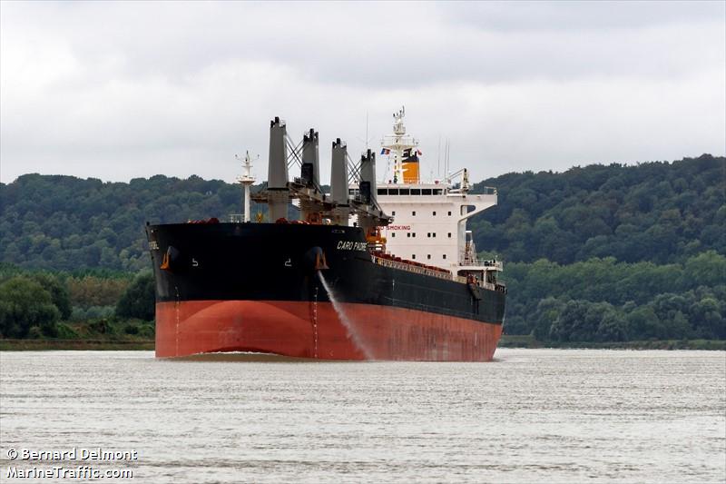 caro padre (Bulk Carrier) - IMO 9575199, MMSI 311000573, Call Sign C6CT8 under the flag of Bahamas