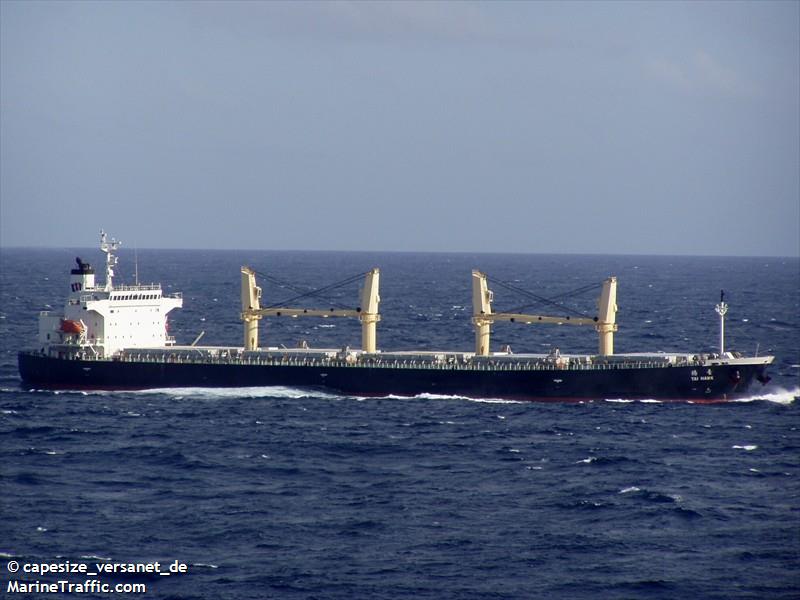 tai hawk (Bulk Carrier) - IMO 9284556, MMSI 354740000, Call Sign HOXR under the flag of Panama