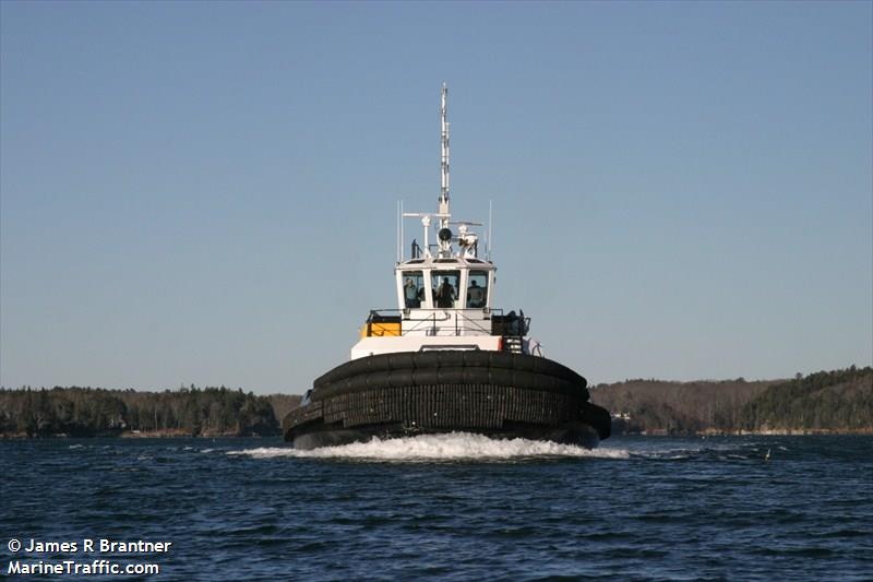 patriot (Tug) - IMO 9712046, MMSI 367591250, Call Sign WDG9802 under the flag of United States (USA)