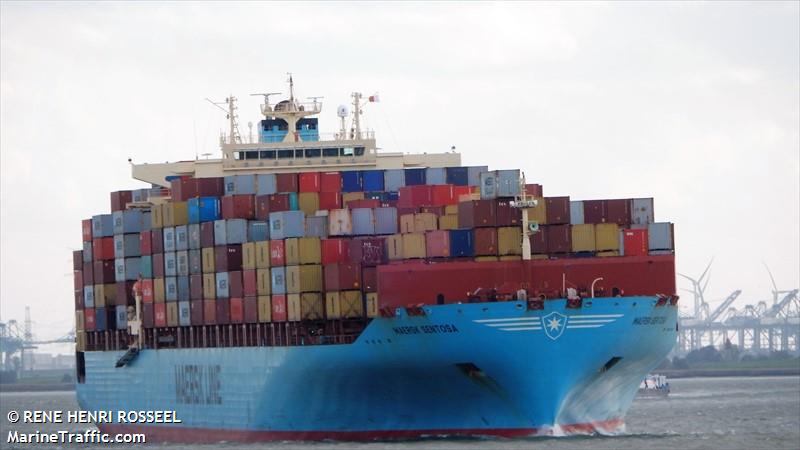 maersk sentosa (Container Ship) - IMO 9315202, MMSI 369246000, Call Sign WSEP under the flag of United States (USA)
