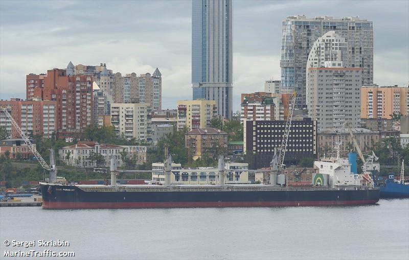 bulk paraguay (Bulk Carrier) - IMO 9791975, MMSI 372875000, Call Sign HPZQ under the flag of Panama