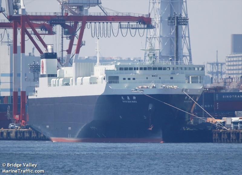 shin sen maru (Ro-Ro Cargo Ship) - IMO 9866500, MMSI 431015592, Call Sign JD4762 under the flag of Japan