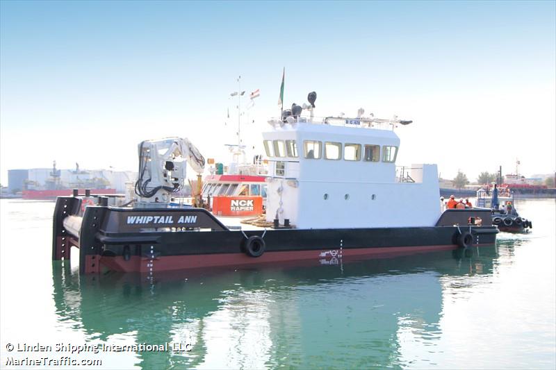 whiptail ann (Tug) - IMO 9902134, MMSI 470494000, Call Sign A6E2623 under the flag of UAE