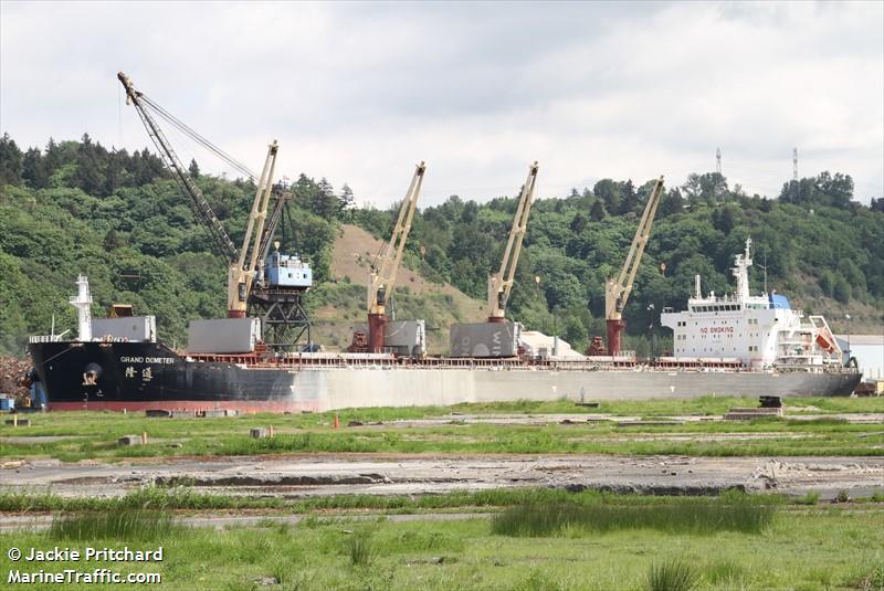 grand demeter (Bulk Carrier) - IMO 9445174, MMSI 477802200, Call Sign VRGY2 under the flag of Hong Kong