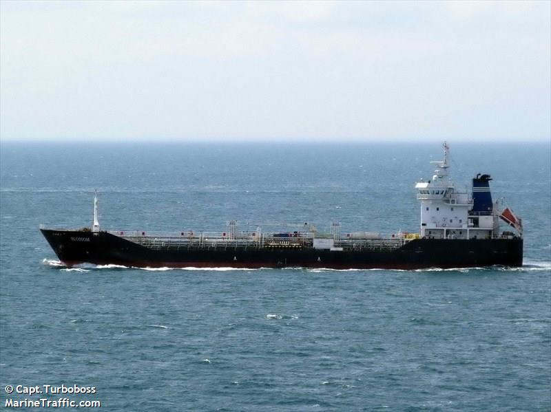 blossom (Chemical/Oil Products Tanker) - IMO 9449558, MMSI 565833000, Call Sign 9VCL4 under the flag of Singapore