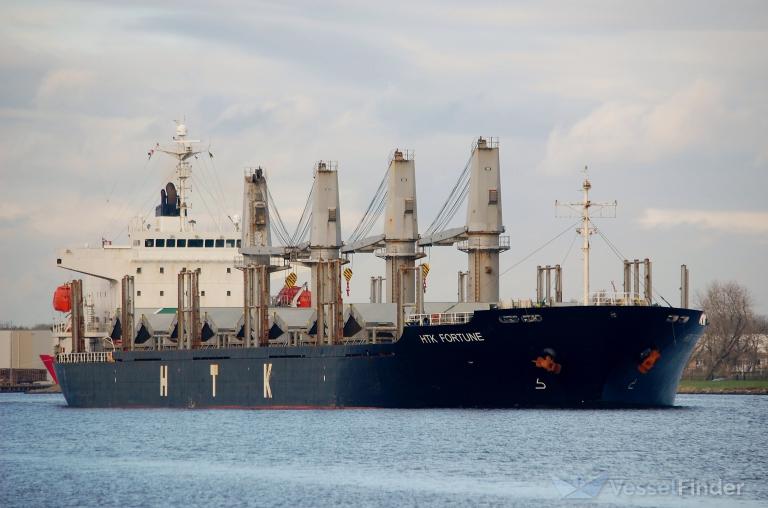 htk fortune (Bulk Carrier) - IMO 9310769, MMSI 574004470, Call Sign XVFK7 under the flag of Vietnam