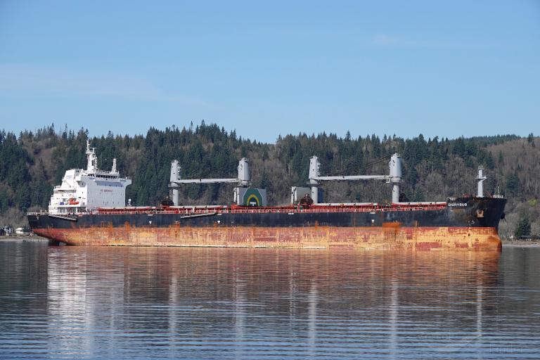 dionysus (Bulk Carrier) - IMO 9696515, MMSI 636016498, Call Sign D5GL8 under the flag of Liberia