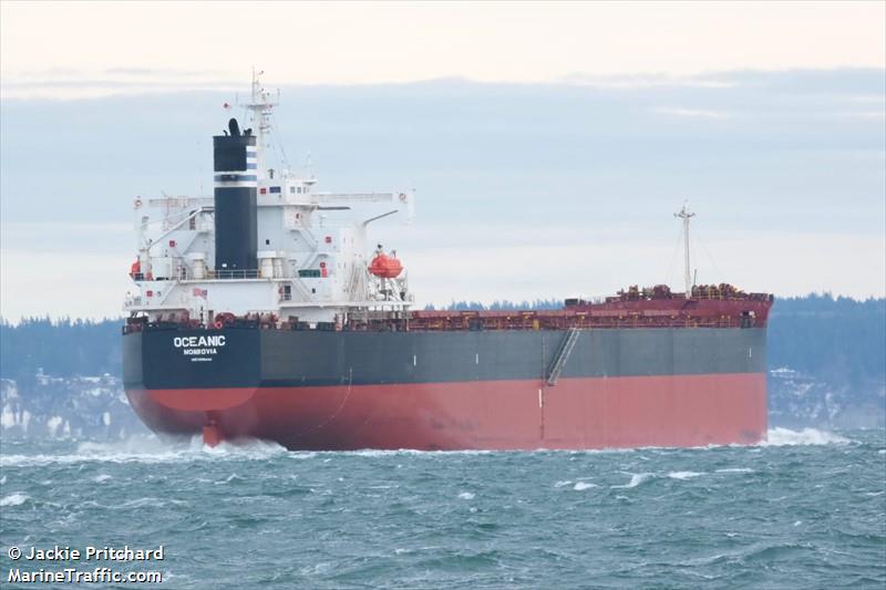 oceanic (Bulk Carrier) - IMO 9392444, MMSI 636018158, Call Sign D5OL4 under the flag of Liberia