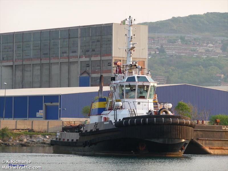 ringhio (Tug) - IMO 9359193, MMSI 247188900, Call Sign IIEL2 under the flag of Italy