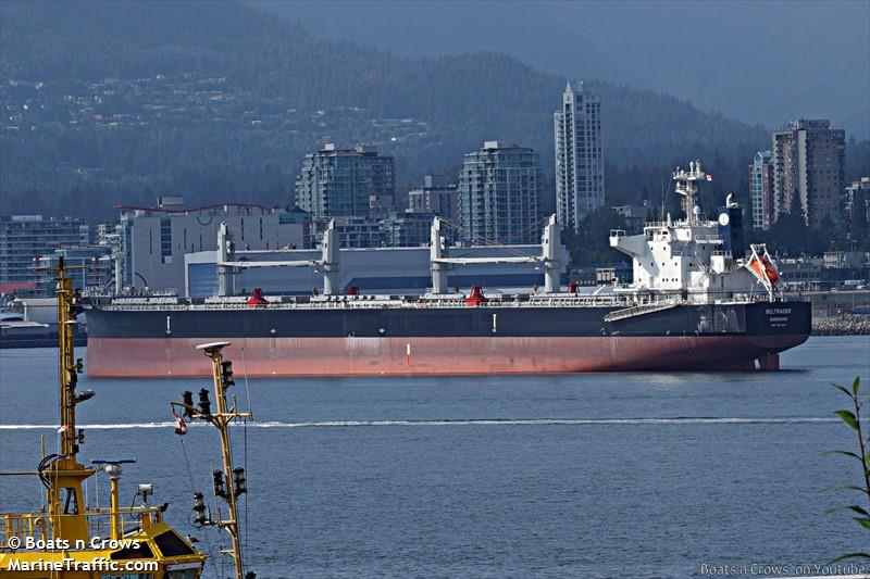 beltrader (Bulk Carrier) - IMO 9911642, MMSI 257790000, Call Sign LANU8 under the flag of Norway