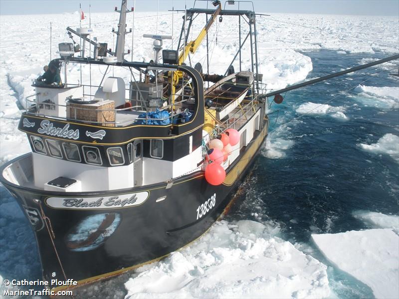 black eagle (Fishing vessel) - IMO , MMSI 316010440 under the flag of Canada