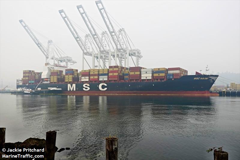 msc naomi (Container Ship) - IMO 9704984, MMSI 255806500, Call Sign CQEV9 under the flag of Madeira