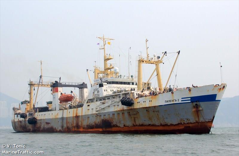 pilenga 2 (Fish Factory Ship) - IMO 9120310, MMSI 273896300, Call Sign UCVG___ under the flag of Russia