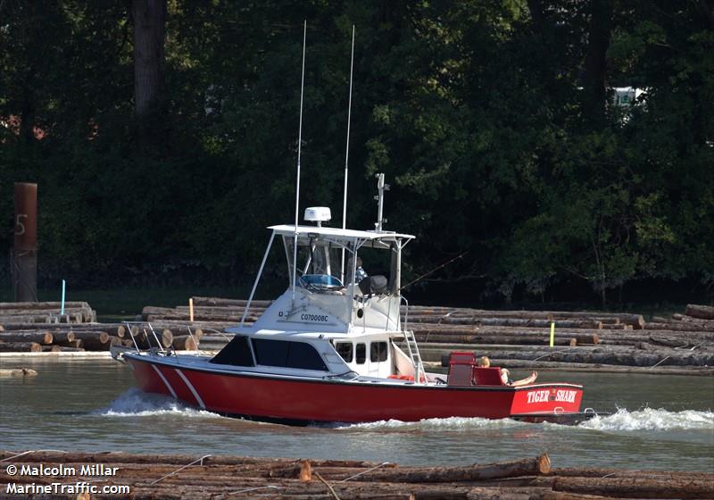tiger shark (Towing vessel) - IMO , MMSI 316034244, Call Sign ASSIST under the flag of Canada