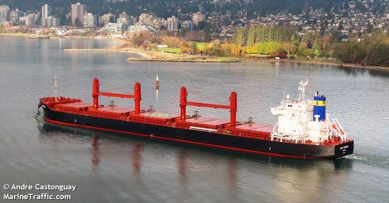 cmb teniers (Bulk Carrier) - IMO 9916214, MMSI 352978143, Call Sign 3E3971 under the flag of Panama