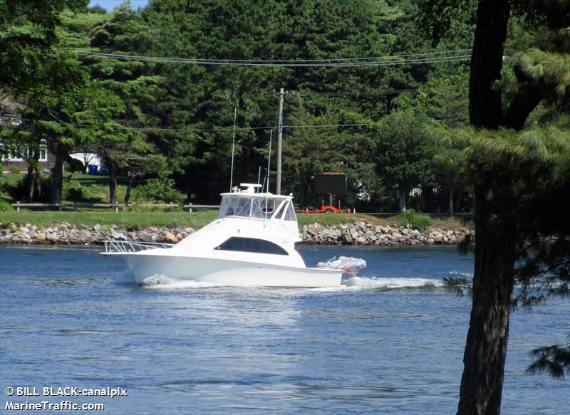 emily drew ll (Pleasure craft) - IMO , MMSI 338226804 under the flag of USA