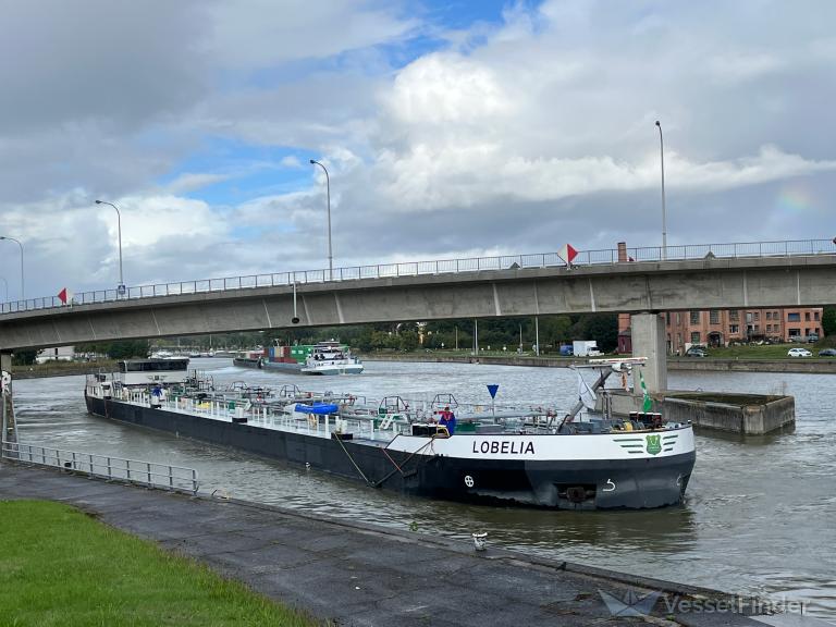 lobelia (Tanker) - IMO , MMSI 211252290, Call Sign DD2943 under the flag of Germany