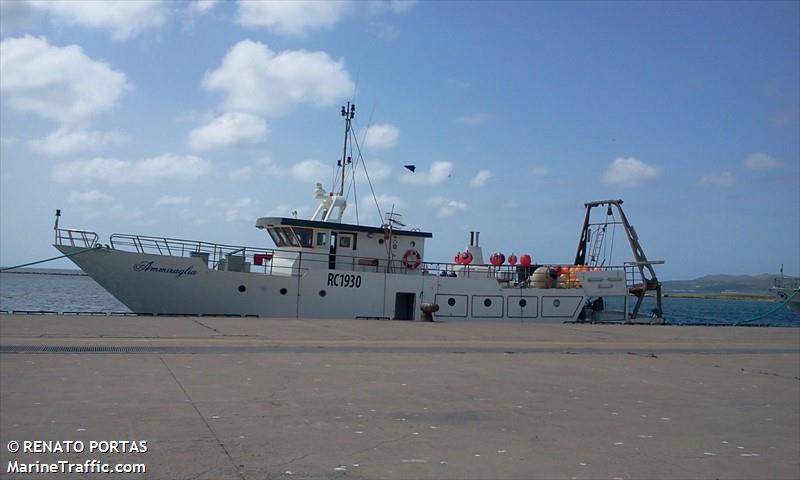 ammiraglia (Fishing vessel) - IMO , MMSI 247133620, Call Sign IMPS2 under the flag of Italy