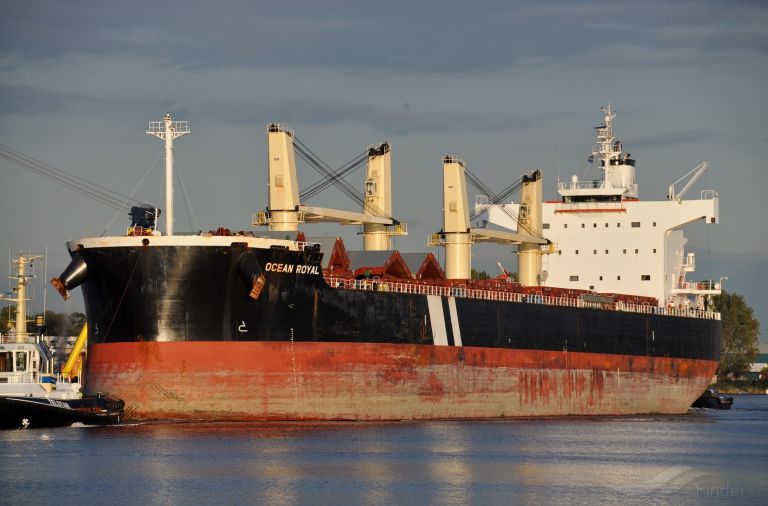 ocean royal (Bulk Carrier) - IMO 9465150, MMSI 248209000, Call Sign 9HA4561 under the flag of Malta