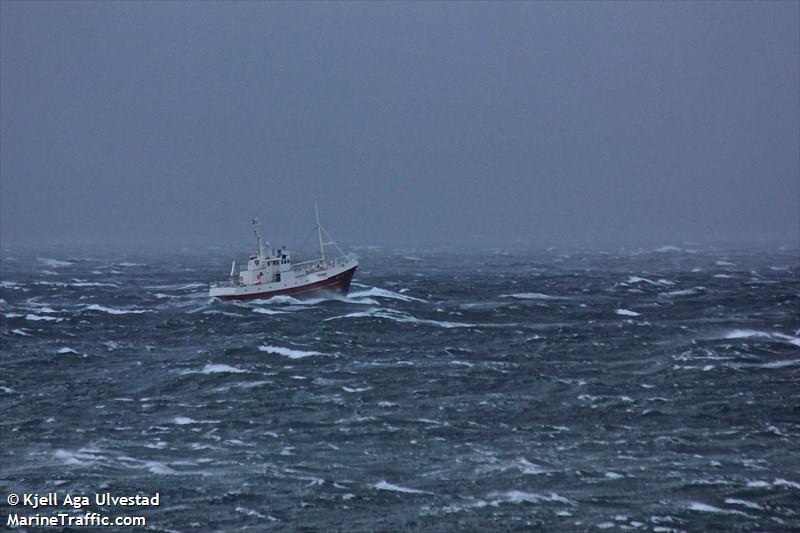 haugefisk (Fishing Vessel) - IMO 7705037, MMSI 259185000, Call Sign LGNG under the flag of Norway